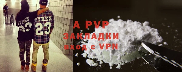 ешки Алексин