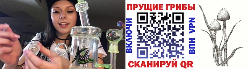 Галлюциногенные грибы GOLDEN TEACHER  магазин продажи наркотиков  Балашиха 